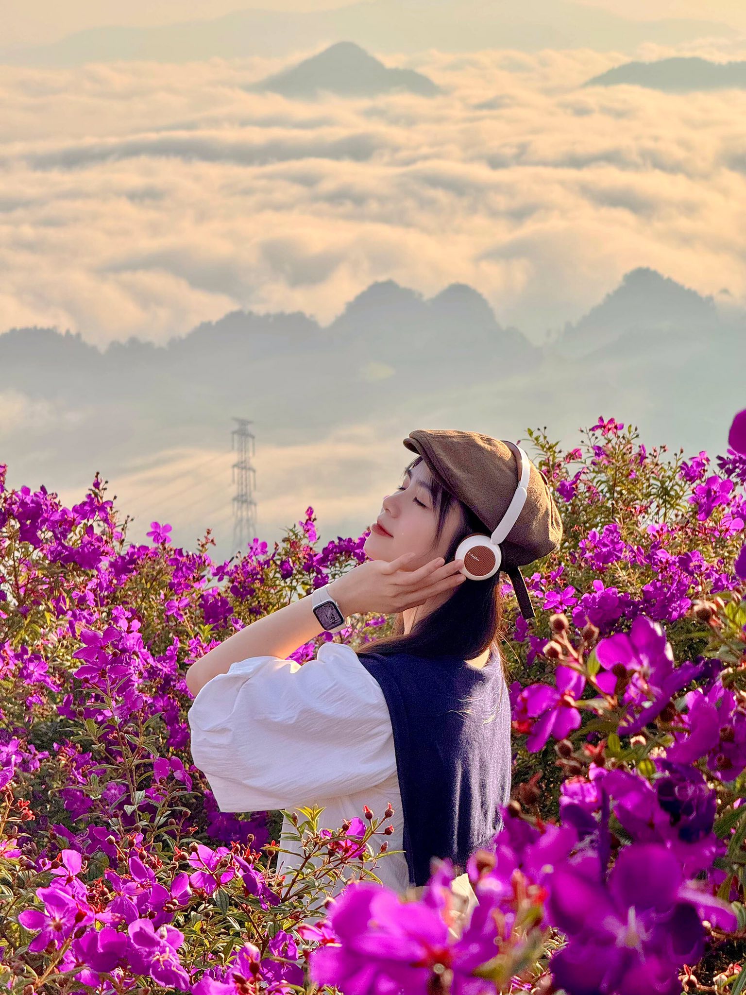 đồi hoa sim tím Vân Hồ Mộc Châu