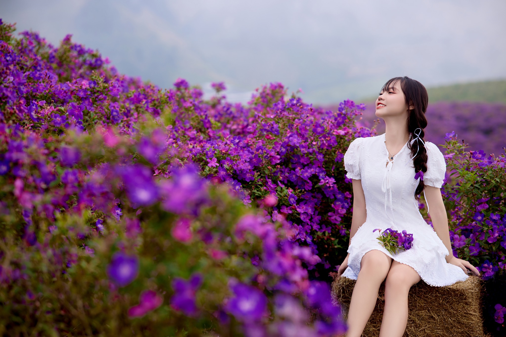 đồi hoa sim tím Vân Hồ Mộc Châu