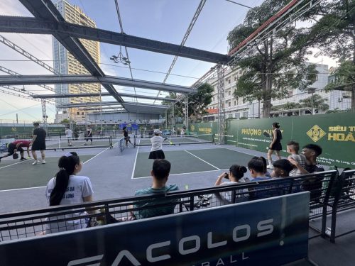 Phoenix Legend Pickleball Court (6)